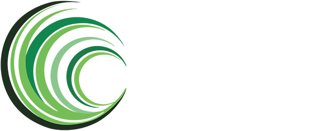 Project Seagrass | Advancing the conservation of seagrass through community, research and action