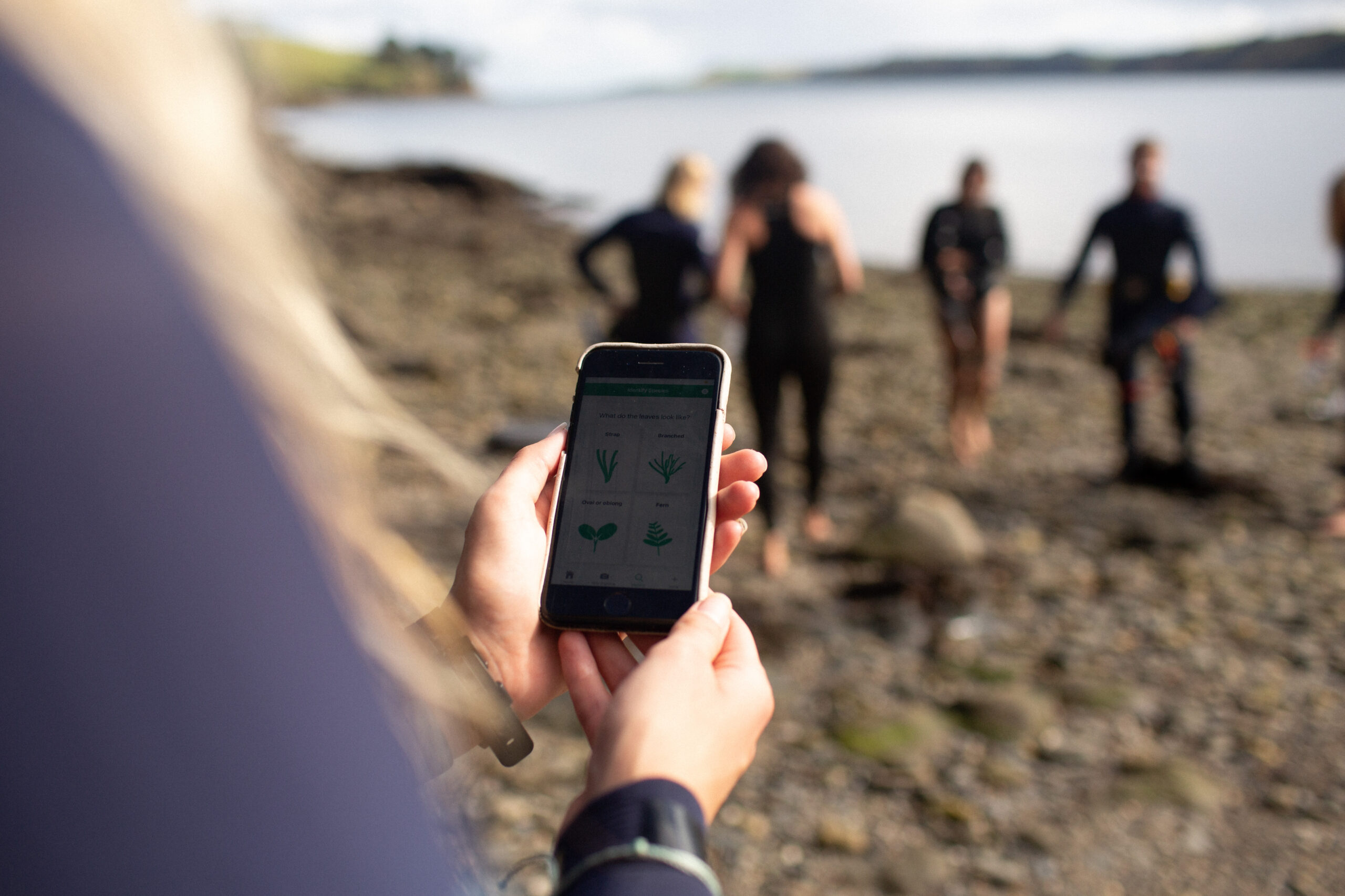 Seagrass app inspires a rise in citizen science across the globe