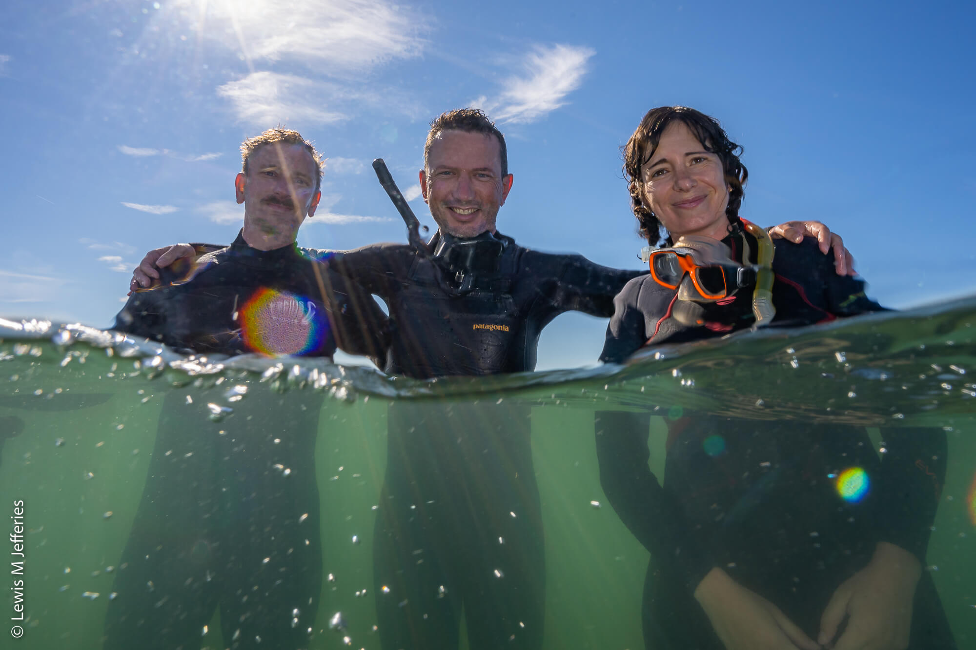 Our Team Project Seagrass