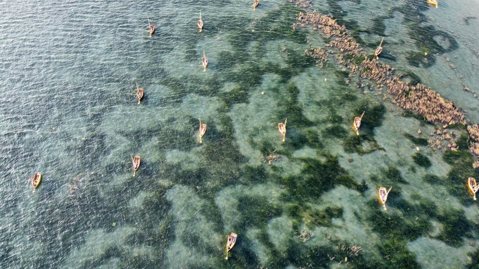 UAV imagery depicting mooring scars within seagrass meadow at Seaview, Isle of Wight. Advanced mooring systems could reduce this damage.