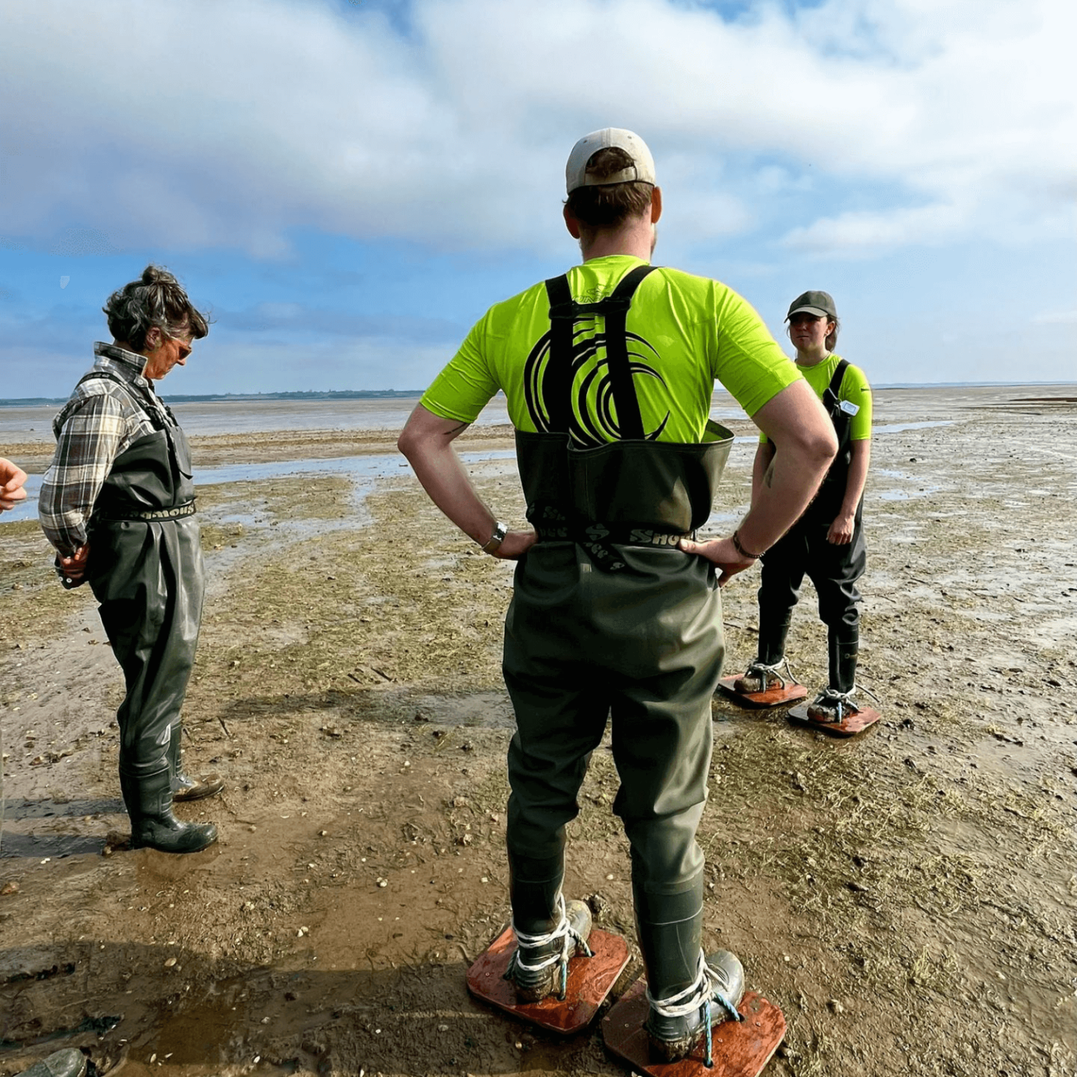 Fieldwork Notes from our May fieldwork | Project Seagrass