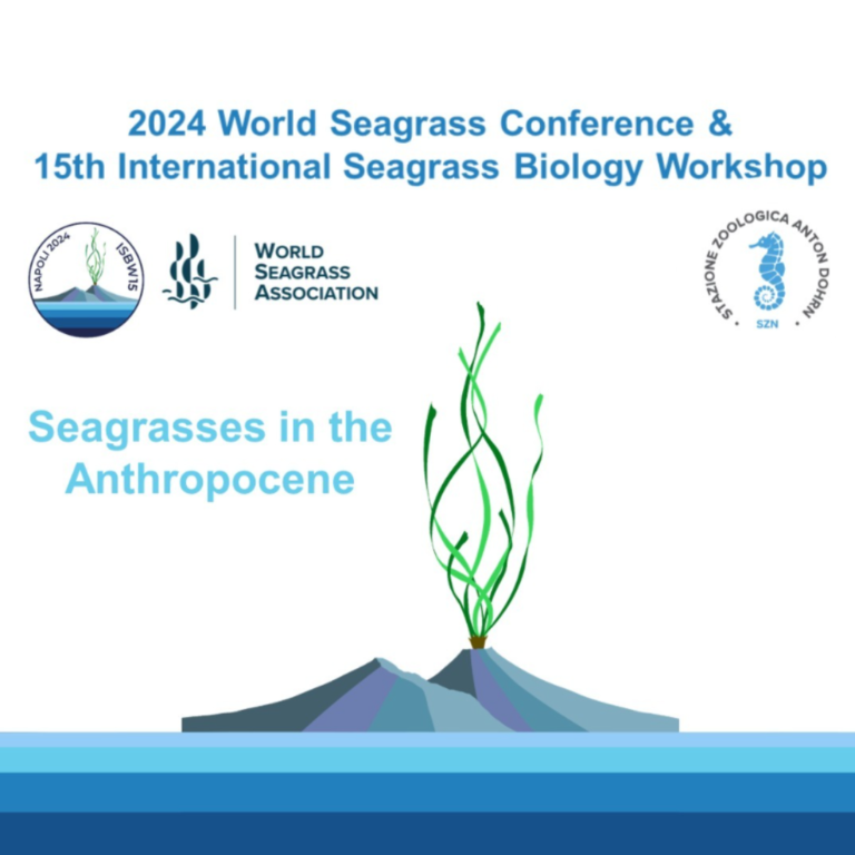 ISBW Conference Logo