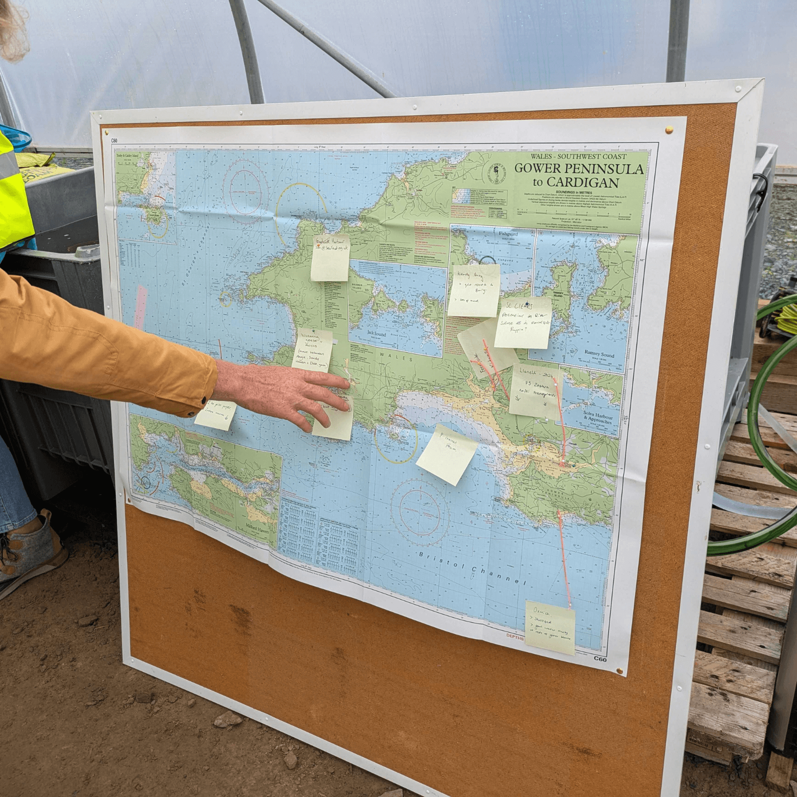 A noticeboard has a map of the south and west Wales coastline. Visiotrs have added post-it notes with ideas for where seagrass might grow.