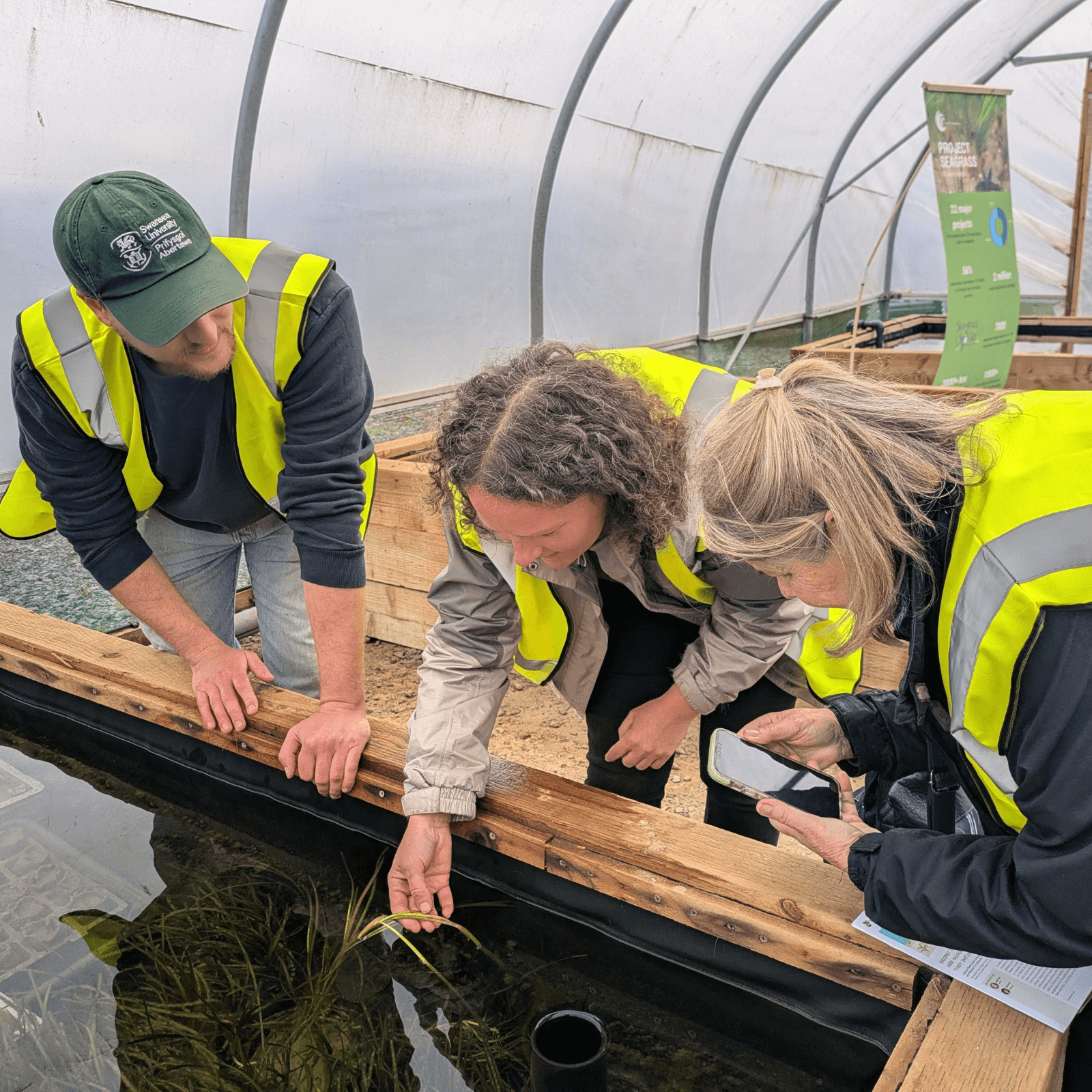 A member of Project Seagrass staff and two members of the community are leaning over one of the ponds inside the polytunnel. One member of the community is holding a strand of seagrass to look at a flower.