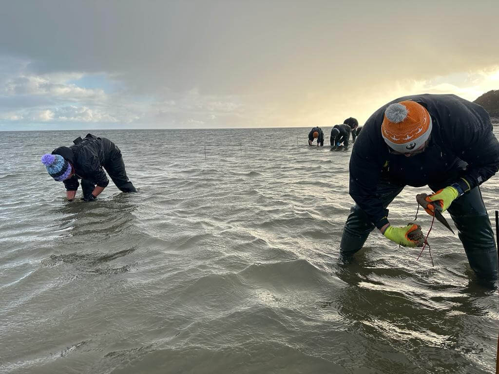 Volunteer Neil is standing in the water alongside other volunteers.