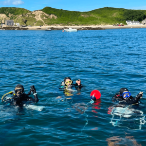 3 divers are in the sea in Porthdinllaen
