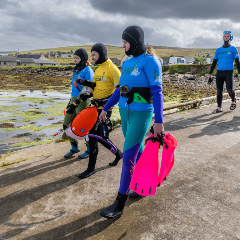 Finstown seagrass seed collection as part of the Restoration Forth August summer seed collection in Orkney.