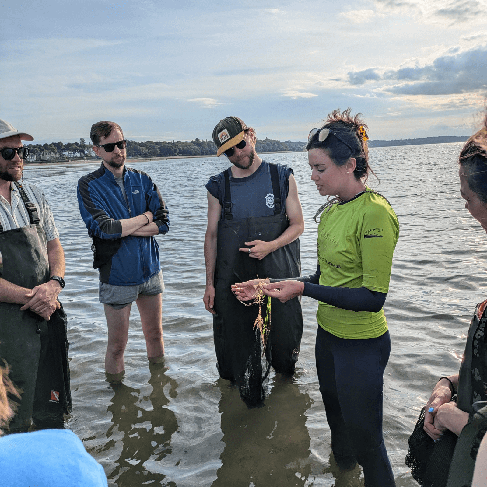 A group of volunteers wearing waders stand in a circle around Project Seagrass Solent Project Lead Anouska as she holds a seagrass reproductive shoot.