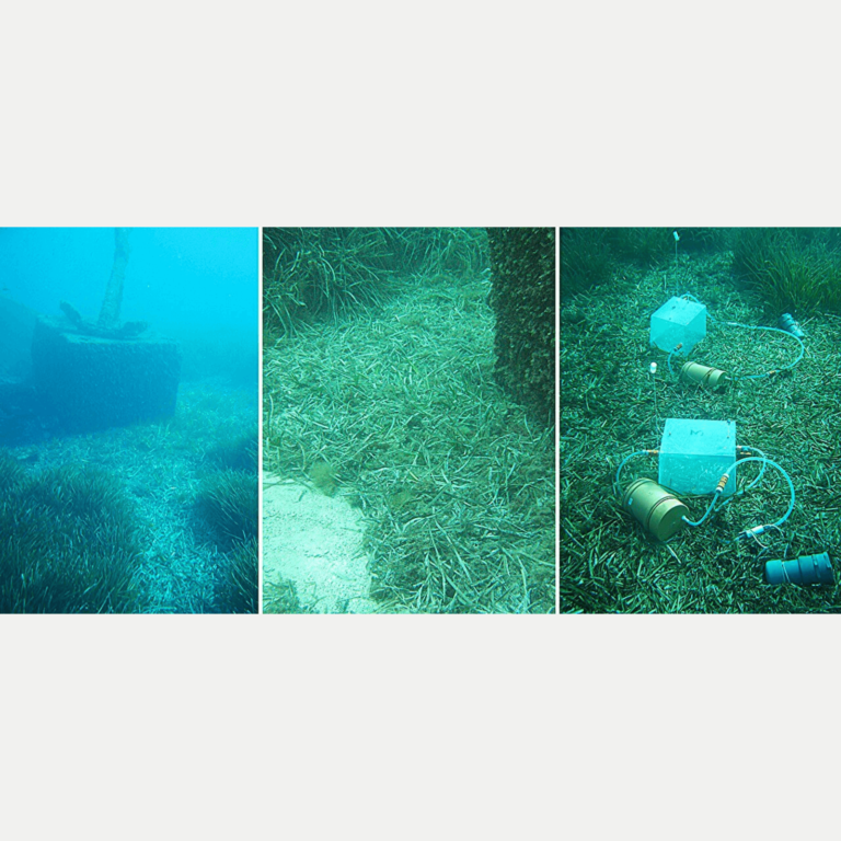 From left to right: View of the STARESO harbor entrance with Posidonia meadow islands and an accumulation of dead leaves. Close-up of litter accumulation. Experimental benthic incubation device ('bell') installed on accumulations of Posidonia dead leaves (10 m deep). Credit: G.Lepoint & W. Champenois / ULiège