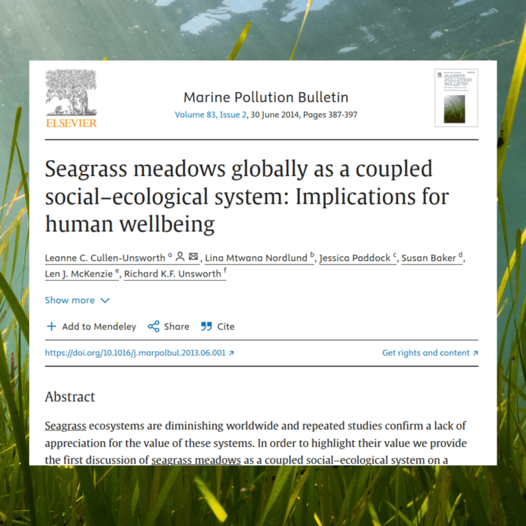 A screenshot of the research paper "Seagrass meadows globally as a coupled social–ecological system: Implications for human wellbeing" overlain on an image of seagrass in North Wales
