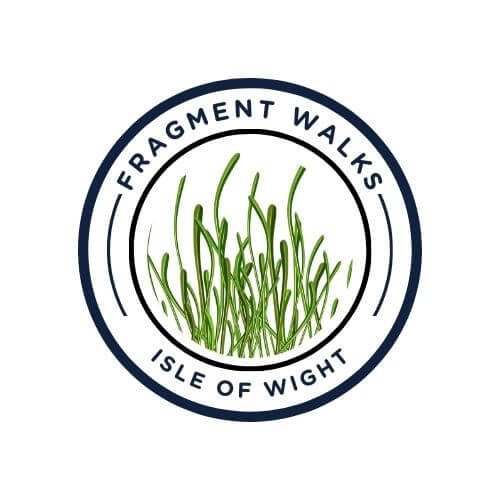 Fragment Walks Logo