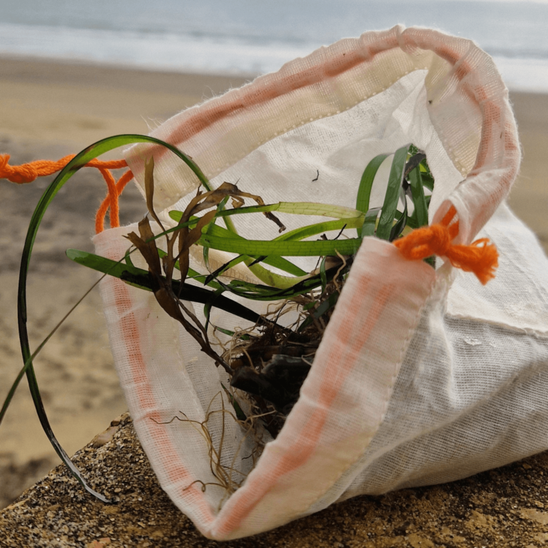 A white cloth bag contains seagrass fragments collected on a fragment walk. The bag is placed on a wall with the sea in the background.