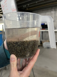 Project Seagrass 2024-25 intern Heather holds a plastic jug filled with seagrass seeds.
