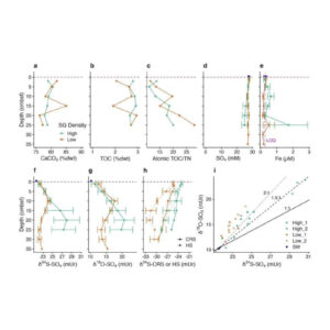Porewater and sediment inorganic and stable isotope geochemical data.