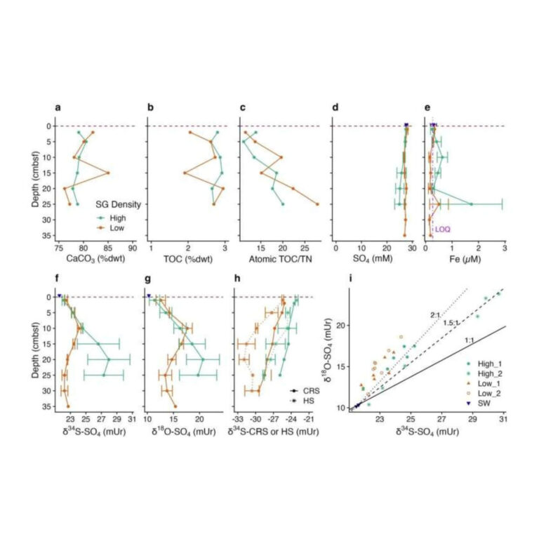 Porewater and sediment inorganic and stable isotope geochemical data.