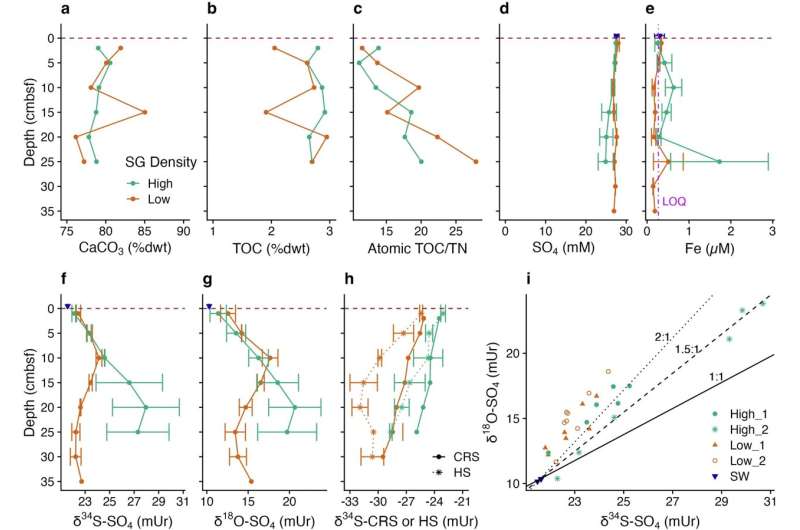Porewater and sediment inorganic and stable isotope geochemical data.