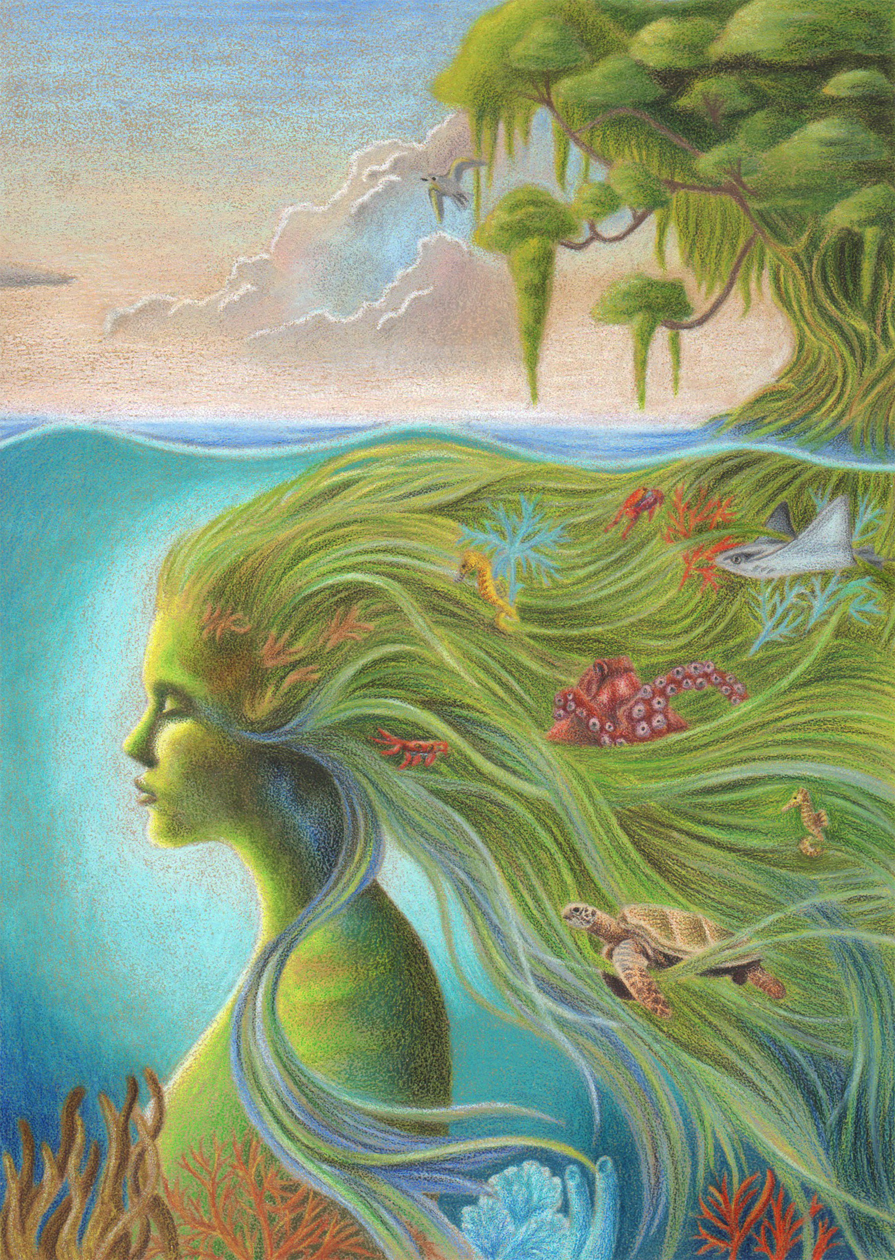 A drawing of a woman with seagrass for hair linking to the coastline and highlighting the diversity of species that seagrass supports.