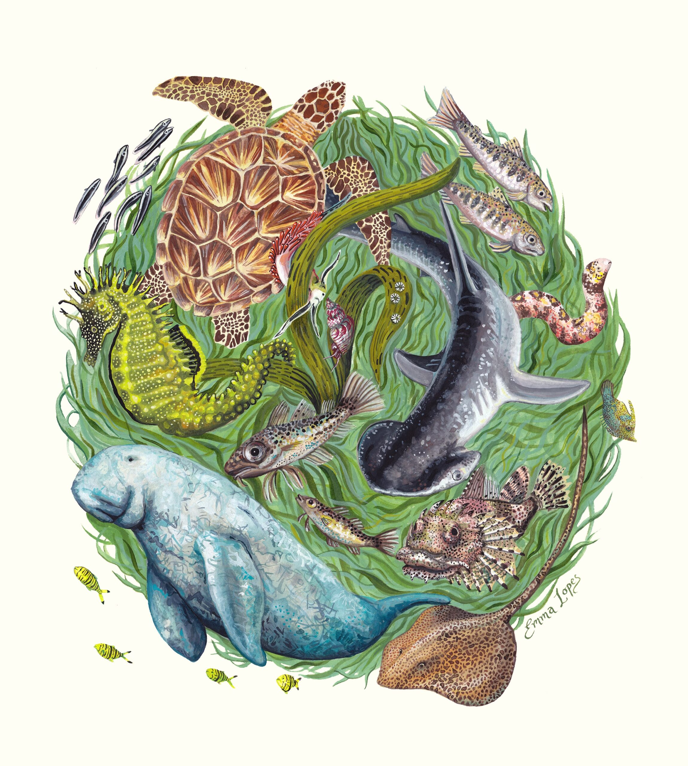 A circle of seagrass filled with species including a dugong, seahorse, and sea turtle.