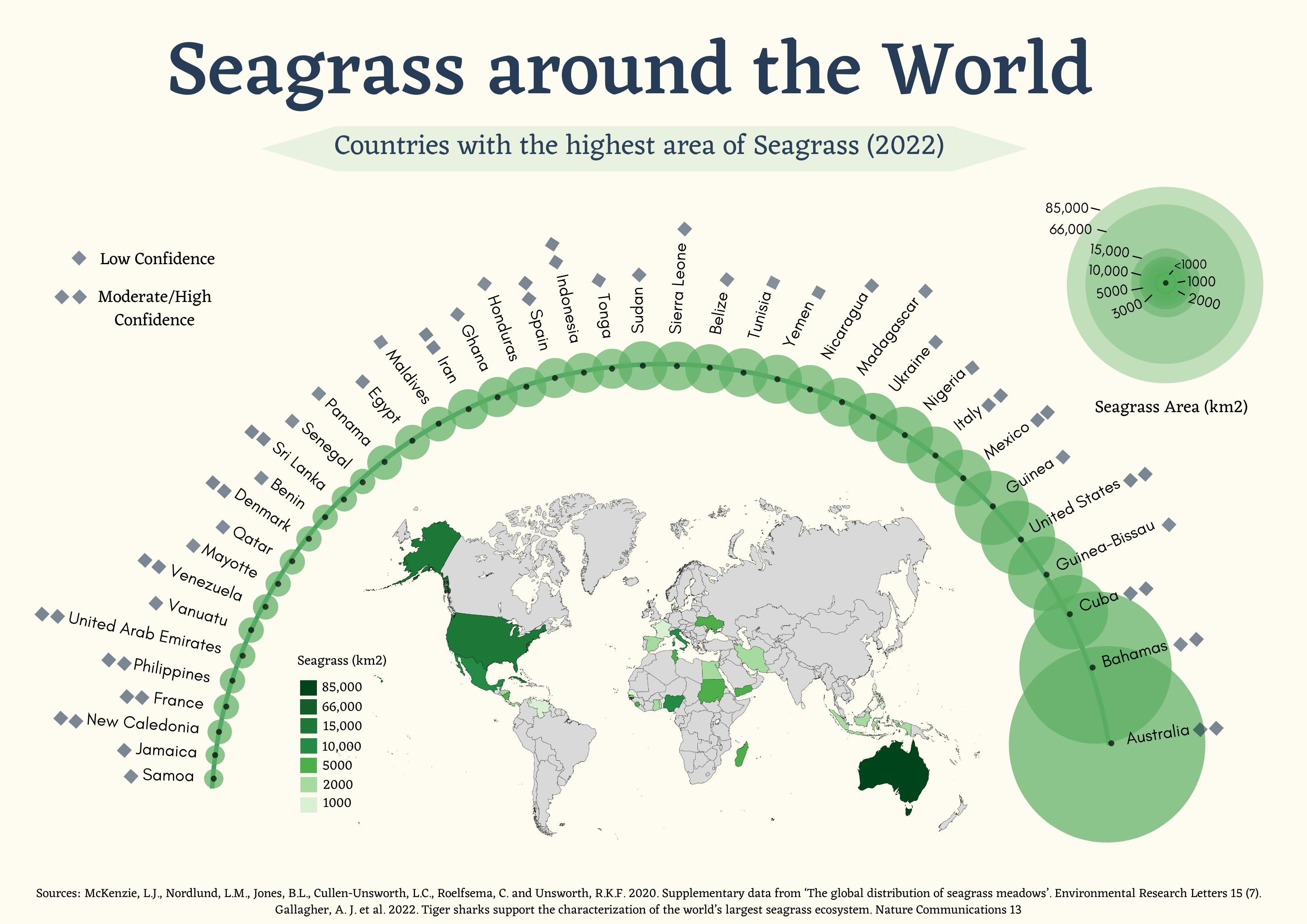 An infographic highlighting the countries with the highest areas of seagrass.
