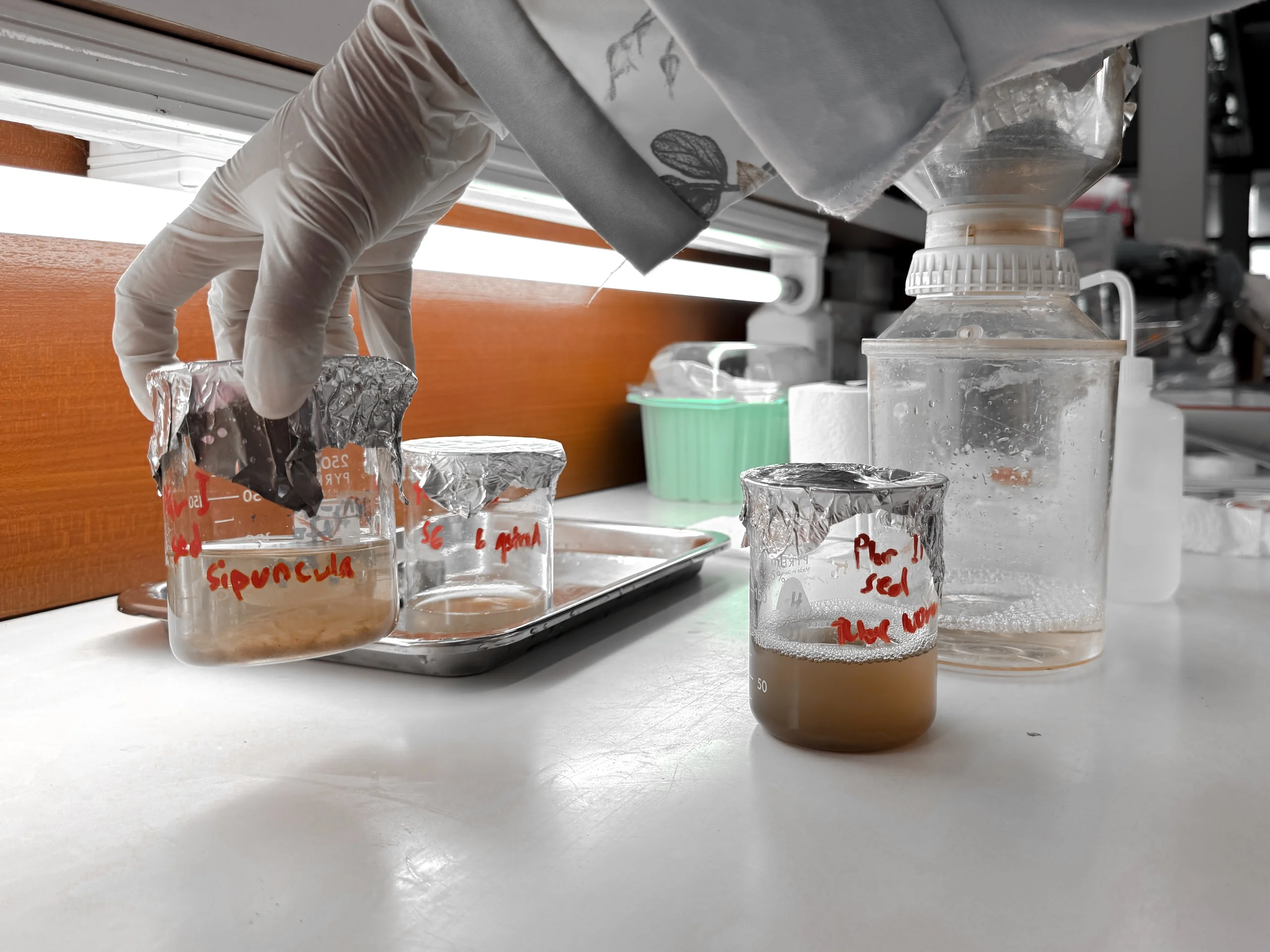 The Seaweed and Seagrass Research Unit at the Prince of Songkla University, southern Thailand, is investigating the causes of the area’s mass seagrass die-offs – and possible solutions (Image: Siripannee Supratya)