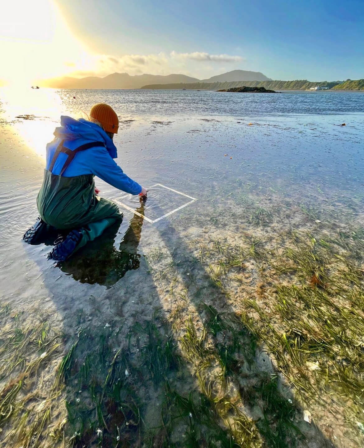 Lowri is kneeling beside a quadrat in a seagrass quadrat.