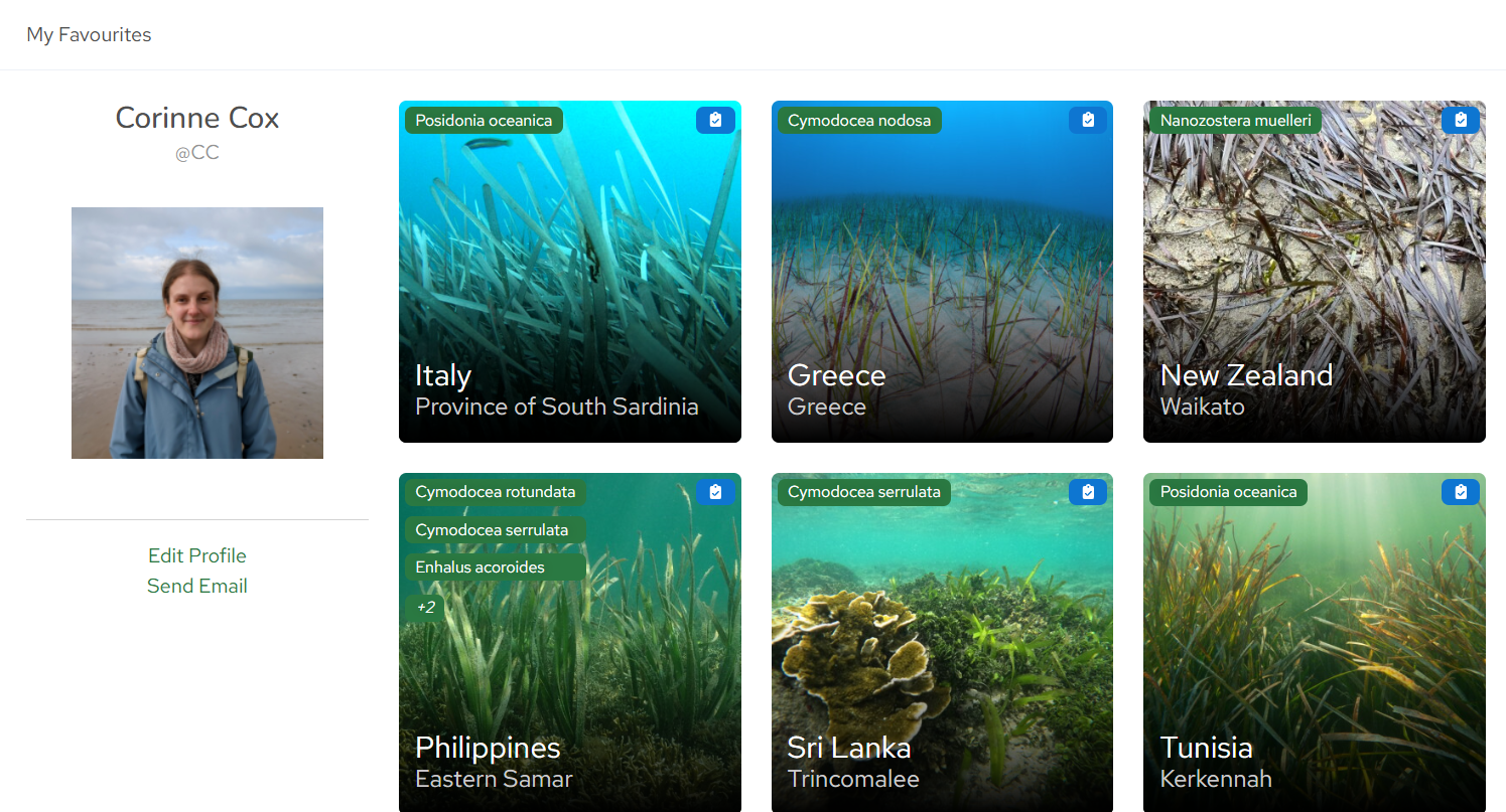 A screen shot of Project Seagrass Communications Officer Corinne Cox's profile showing sightings that she has favourited.