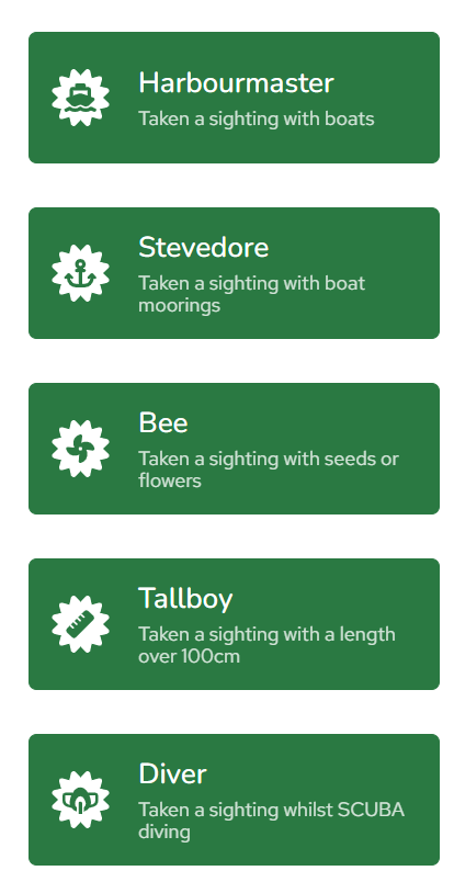 Examples of Achievements that users can unlock