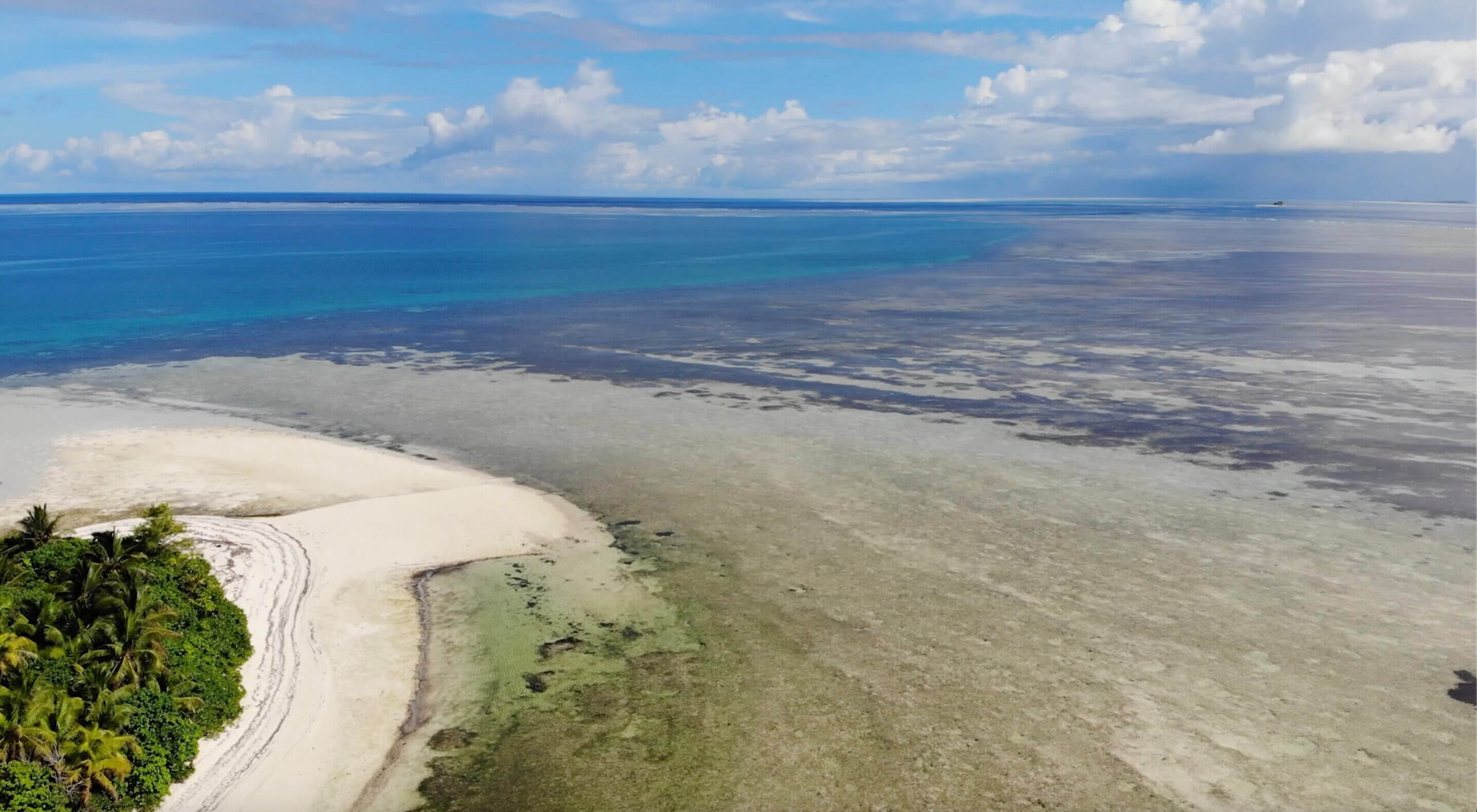 Flats ecosystems are characterized by a complex mosaic of habitats, such as sand, mud, coral rubble, seagrass meadows, oyster reefs, coral reefs and mangroves. They are vital nursery grounds for diverse marine life, including reef fish, sharks and rays. Credit: Andy Danylchuk, University of Massachusetts Amherst