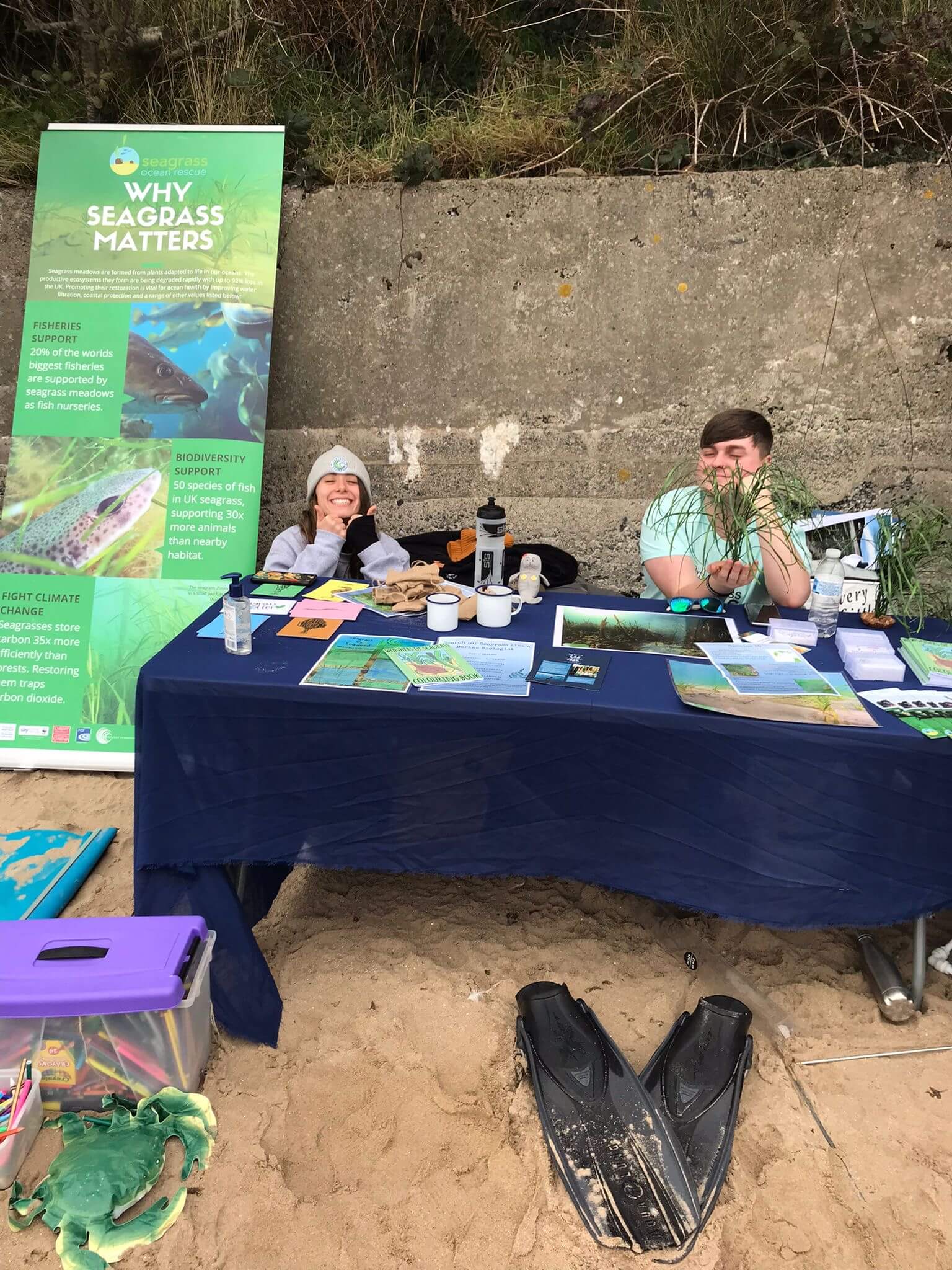 Ellie is seated behind a Project Seagrass engagement stand. A selection of postcards and information are displayed on the table and a banner is to the side the side of the stall.