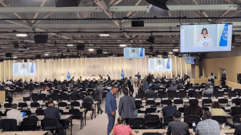 United Nations Ocean Conference 2025