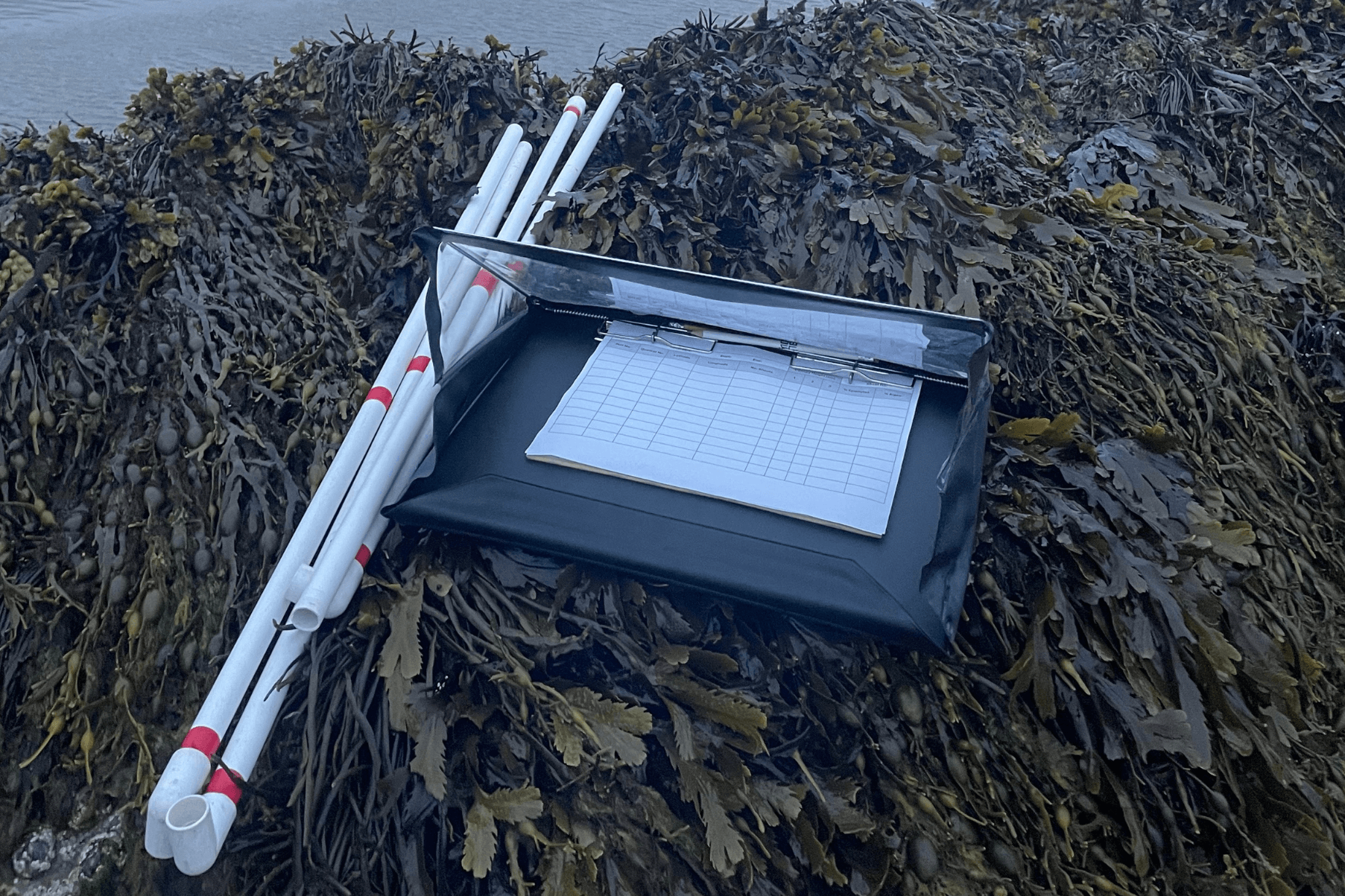 A weather writer with monitoring sheets is placed next to a disassembled quadrat.