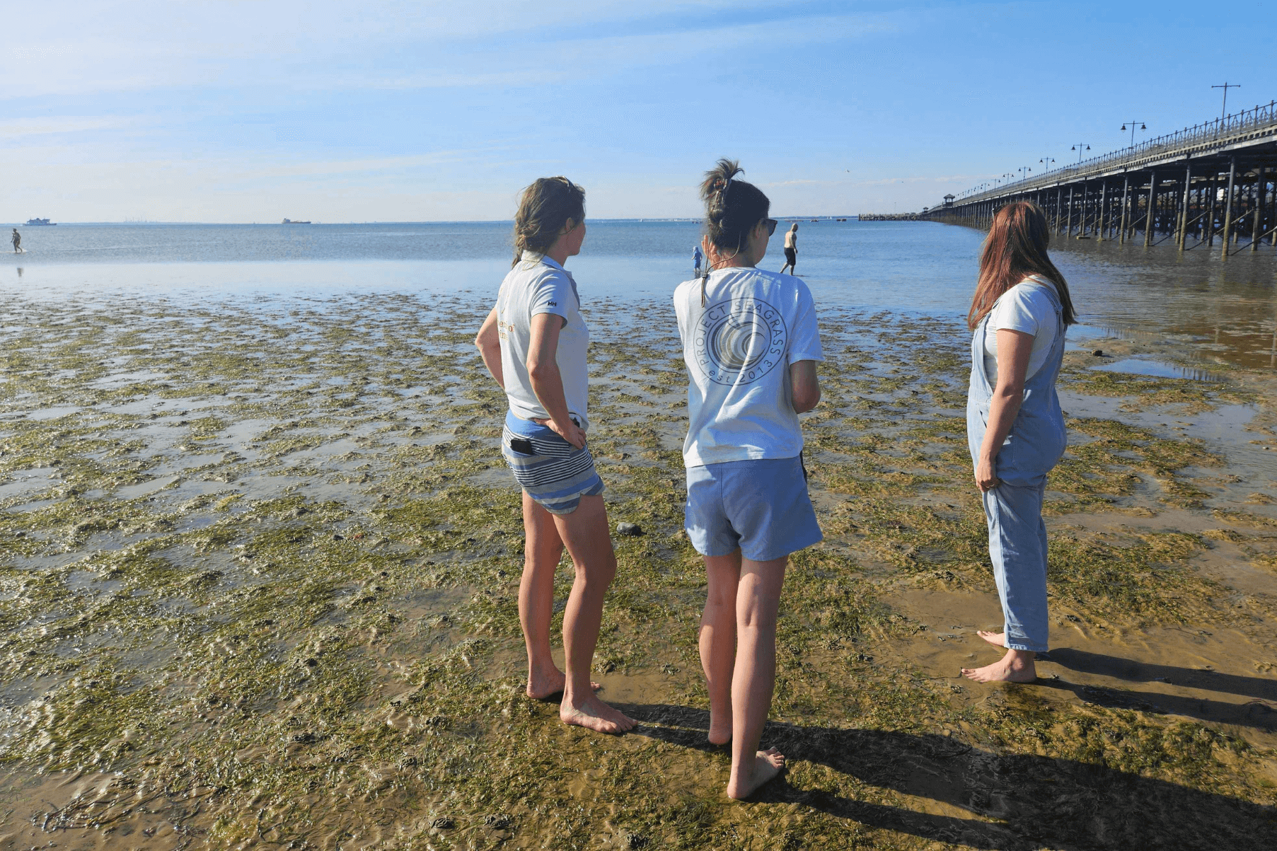 Anouska Mendzil from Project Seagrass with members of The Seagrass Consortium at Ryde beach