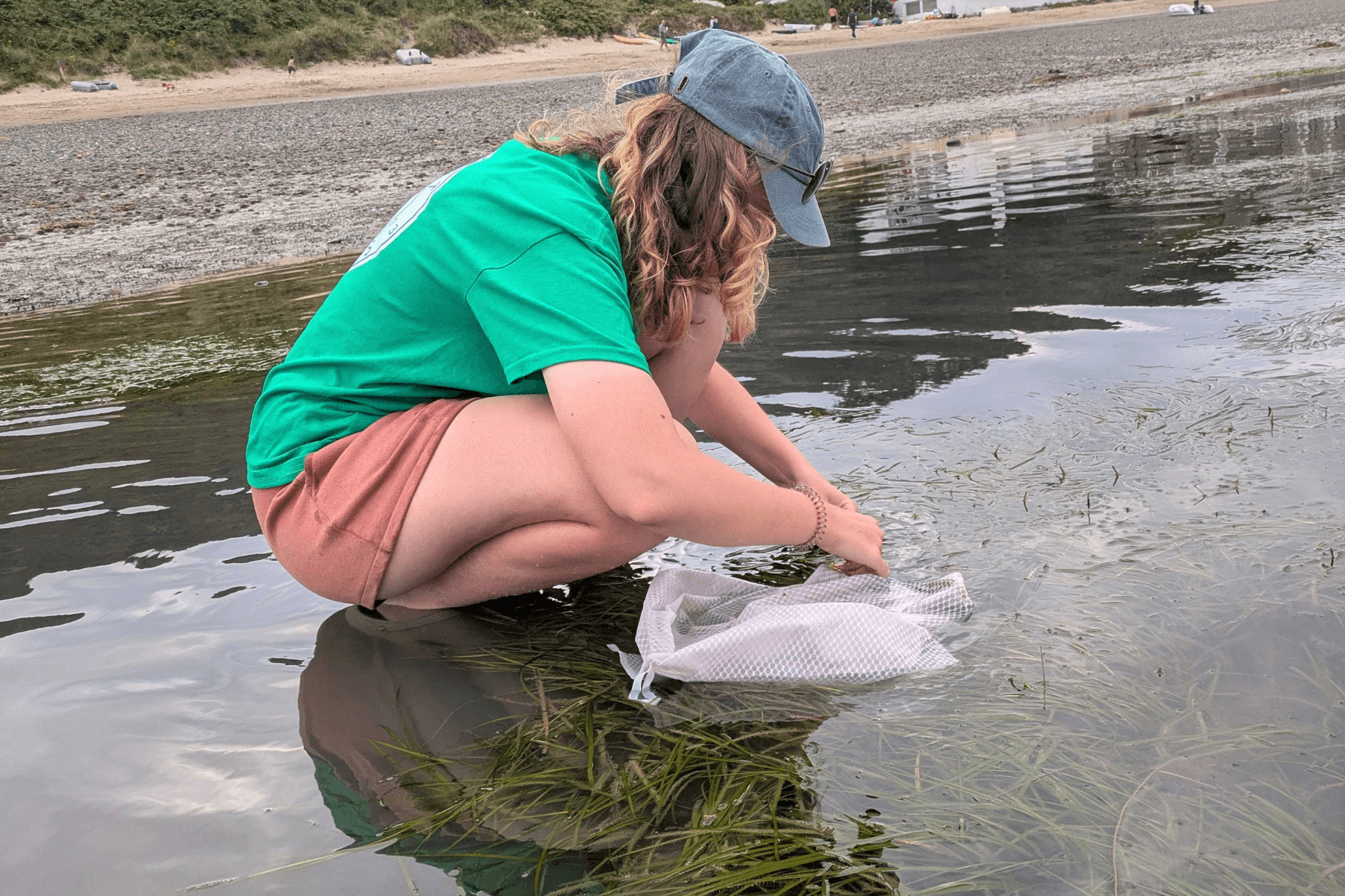 Conservation Trainee Abi collecting seagrass seeds in Porthdinllaen