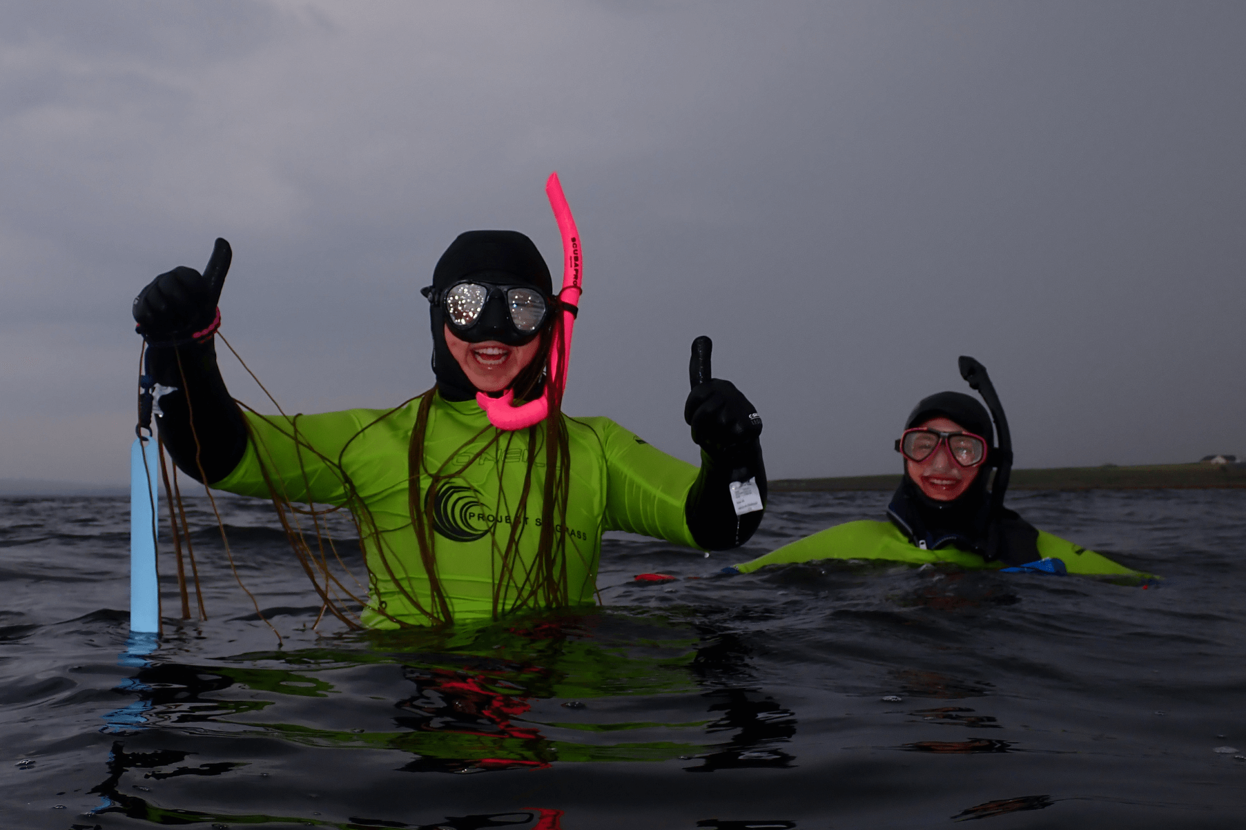 Two members of Project Seagrass staff are in the sea in wetsuits and bright yellow rash vests. They are wearing snrokel masks