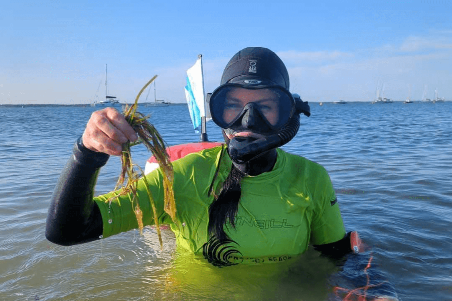 Senior Science Officer and Solent Lead Anouska Mendzil is collecting seagrass seeds in Yarmouth. She is wearing a snrokel, mask, wetsuit and Project Seagrass bright yellow rashvest. She is holding seagrass that she has collected from the seagrass meadow in Yarmouth. It is a sunny day.