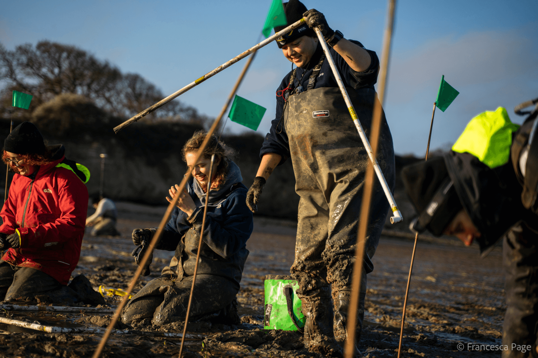 Members of the Project Seagrass team are wearing waders. They are planting seagrass seeds and transplants.