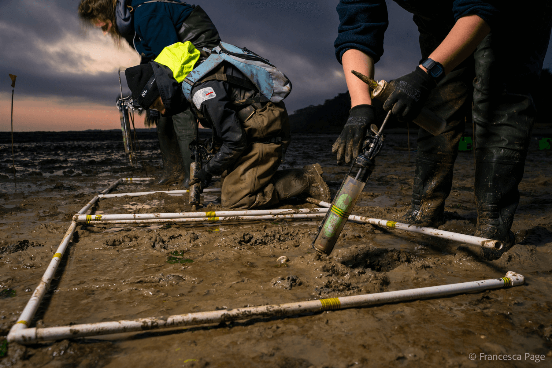 Members of the Project Seagrass team are standing and kneeling in a line. They are planting seagrass seeds within quadrats using the DIS method.