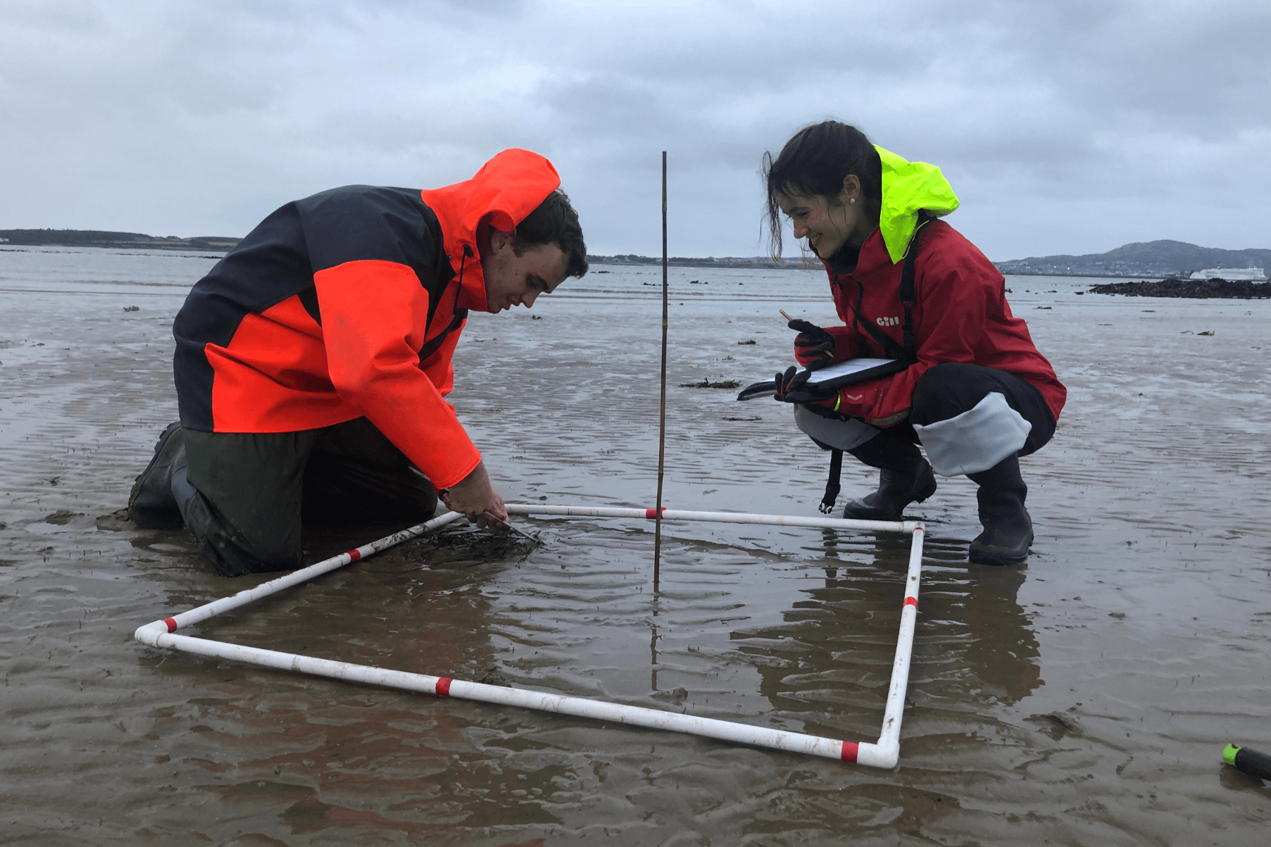 Dylan and Grace are kneeling next to a quadrat on a beach monitoring seagrass.