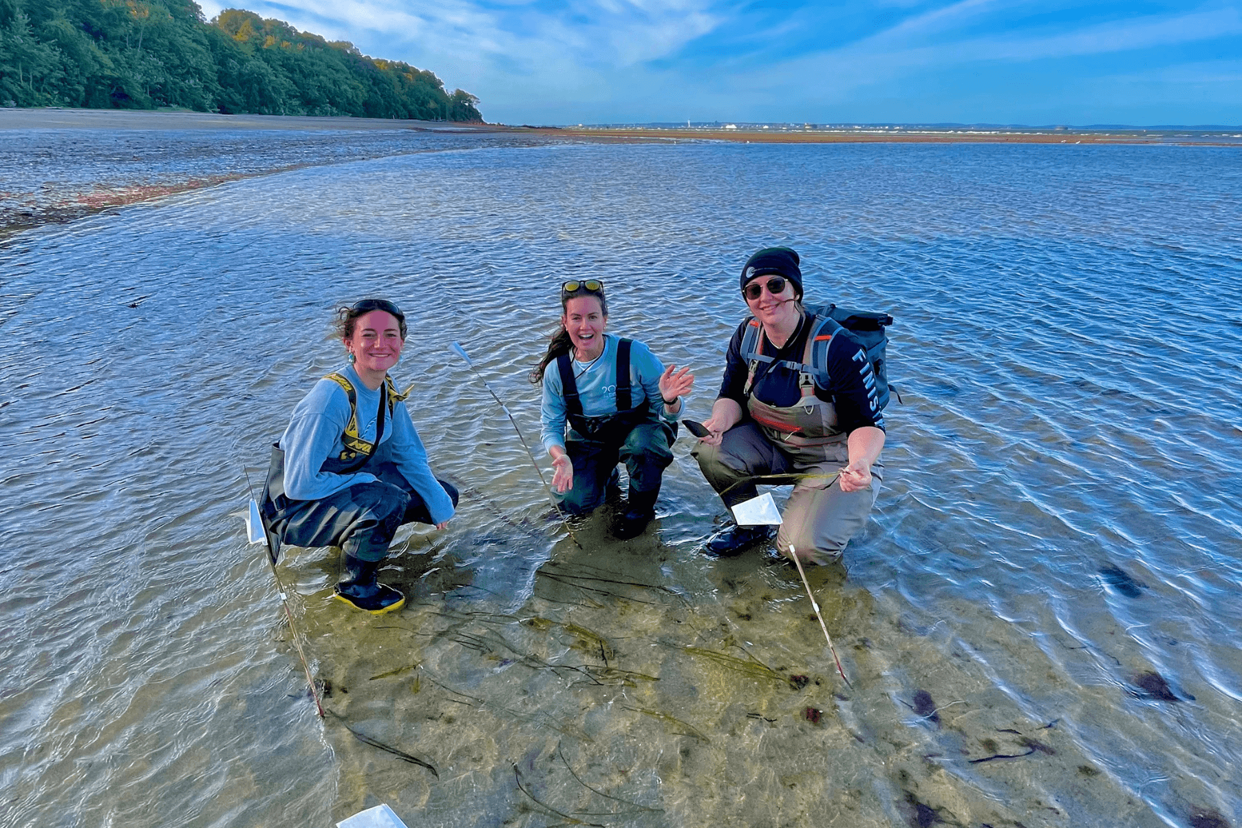 Project Seagrass Anya with Senior Science Officer Anouska Mendzil and Solent Fieldwork Fieldwork Officer Emma Butterworth. The three members of staff are wearing waders and kneeling next to a patch of seagrass in Priory Bay Isle of Wight. The team are here as part of monitoring efforts of spring 2025 planting efforts.