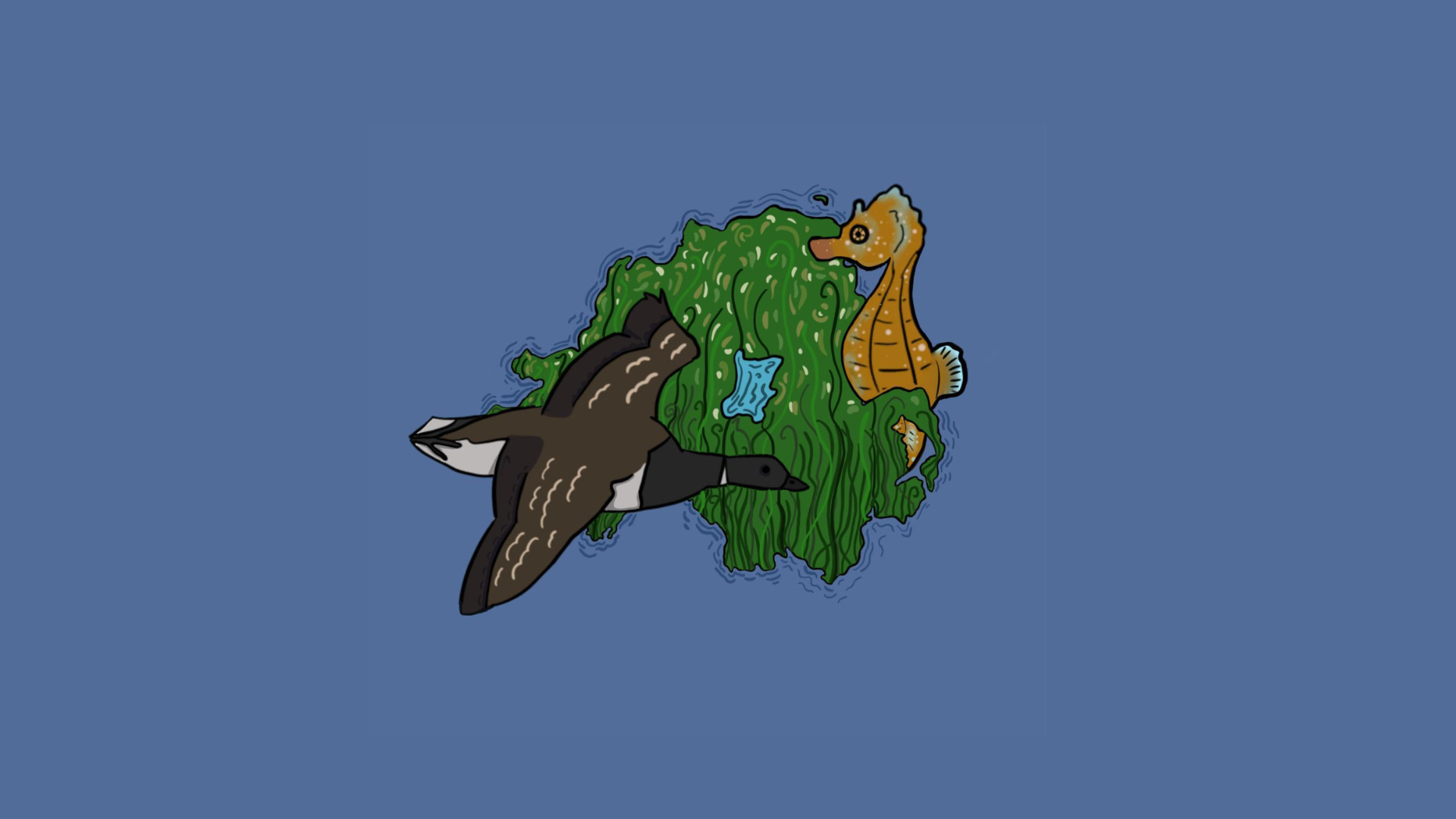 Illustration of a seagrass meadow with a seahorse and a canada goose.