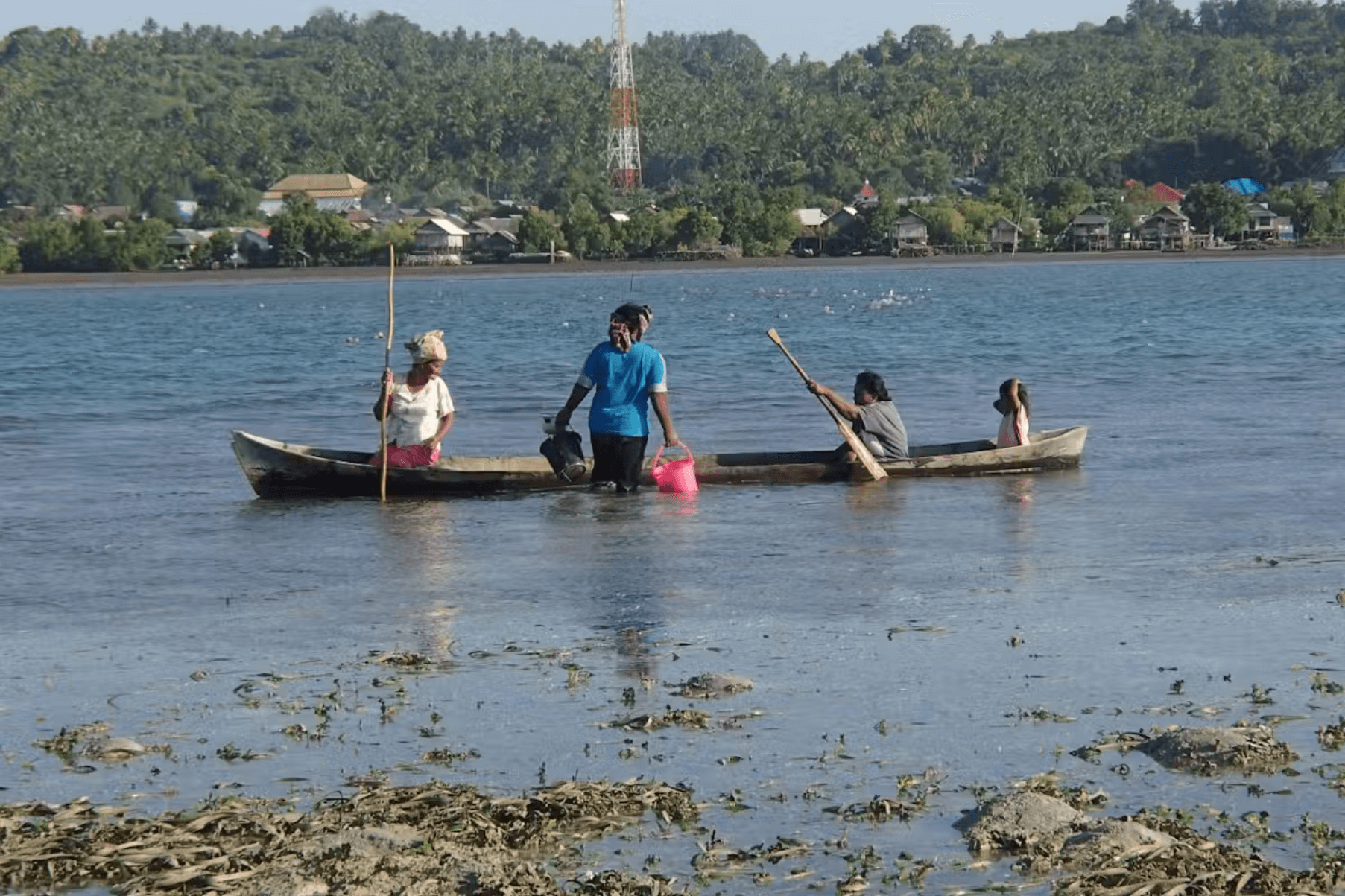 Fishers in seagrass,