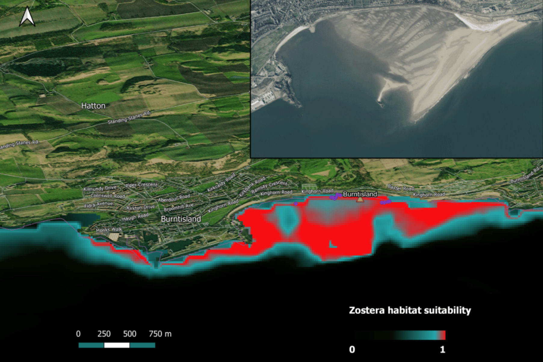 A Habitat suitability model used for work in Burnt Island, Scotland