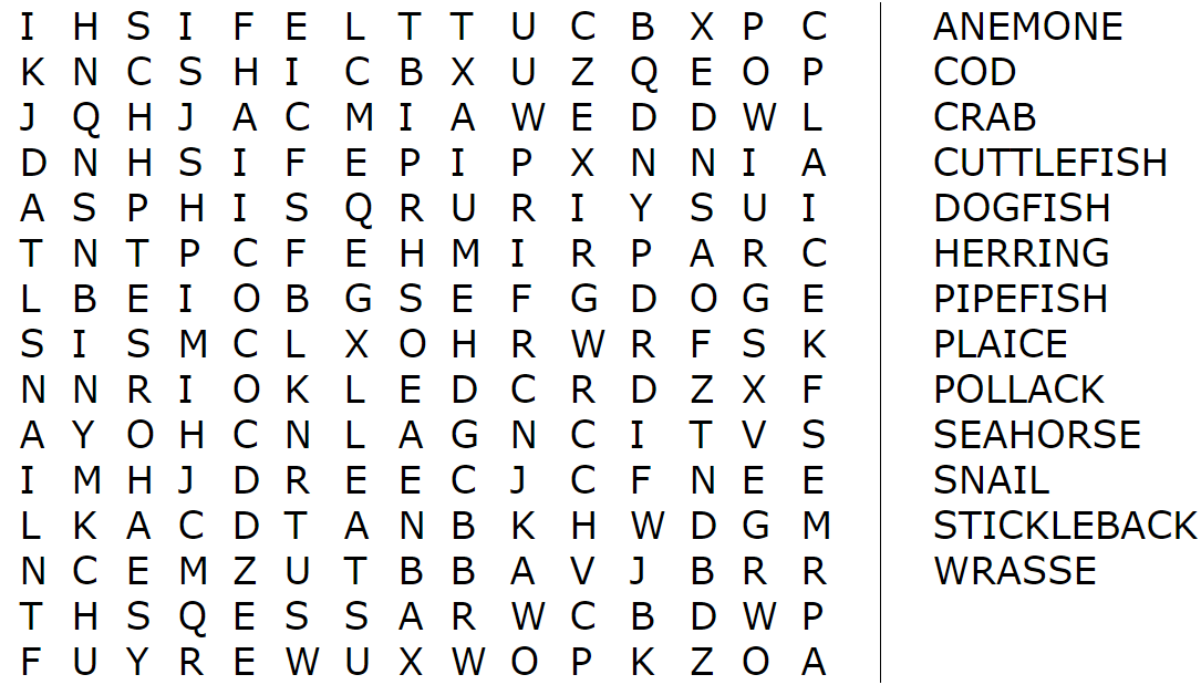 A downloadable wordsearch with species that can be found within a seagrass meadow