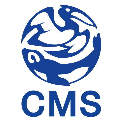 CMS Logo