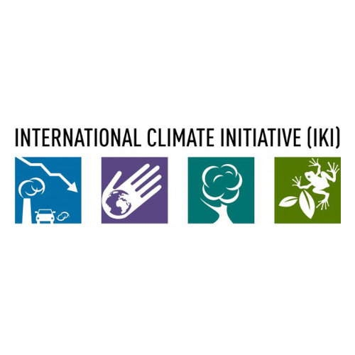 IKI Logo