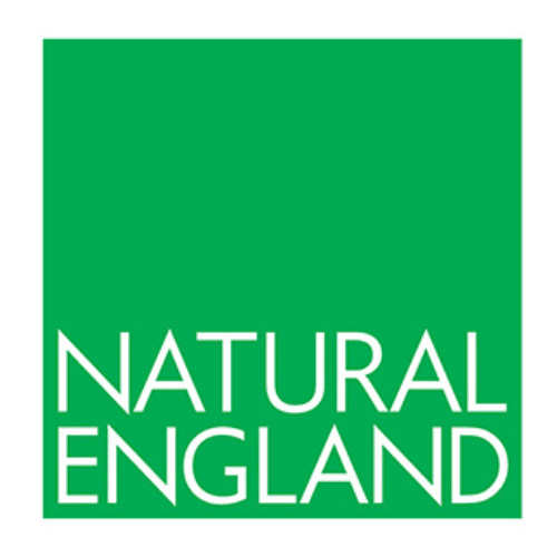 Natural England Logo