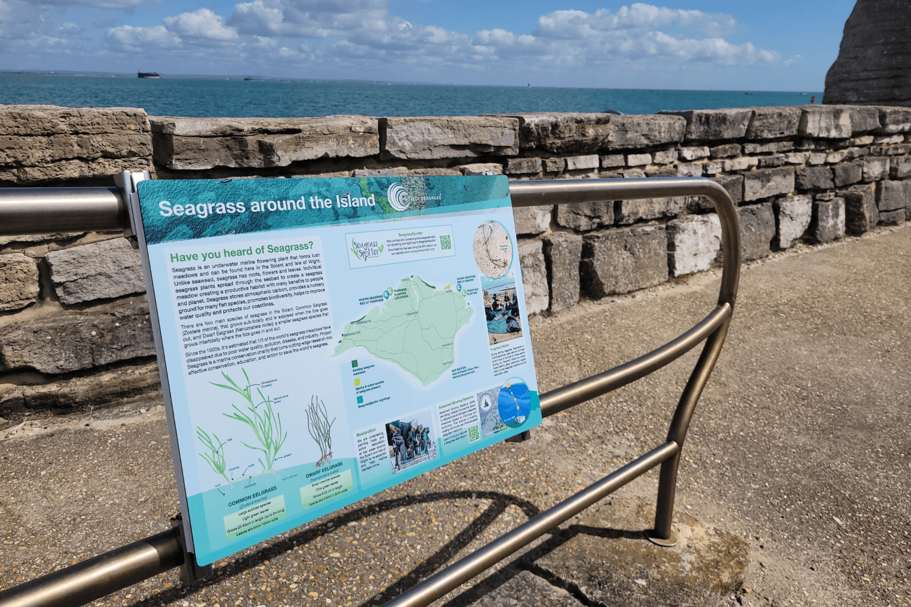A new seagrass information sign is attached to railings at St Helen's Duver