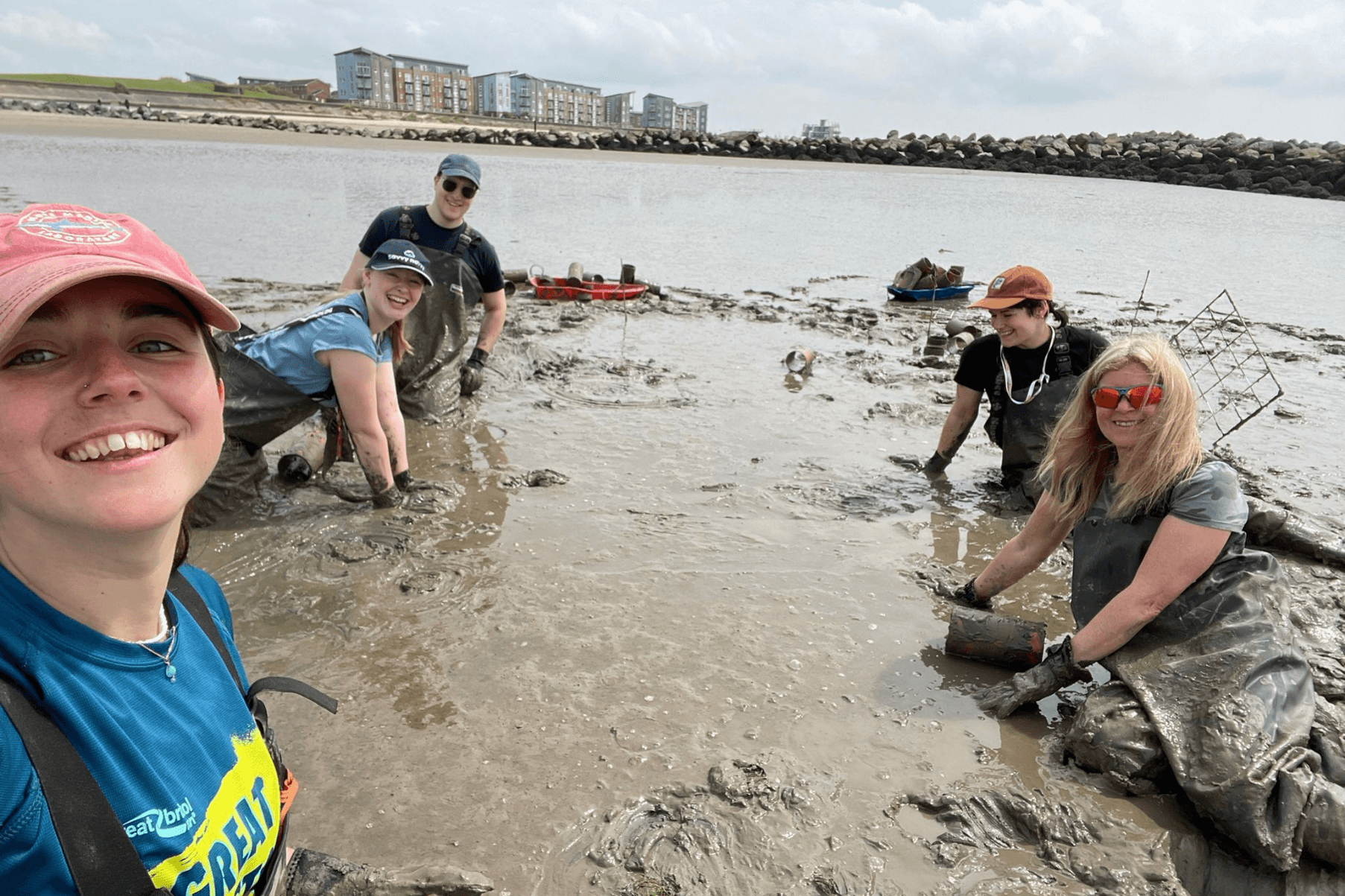 Members of the Project Seagrass team, Carmarthen Bay & Estuaries, and Carmarthenshire Council are in waders at a muddy site collecting seagrass transplants.