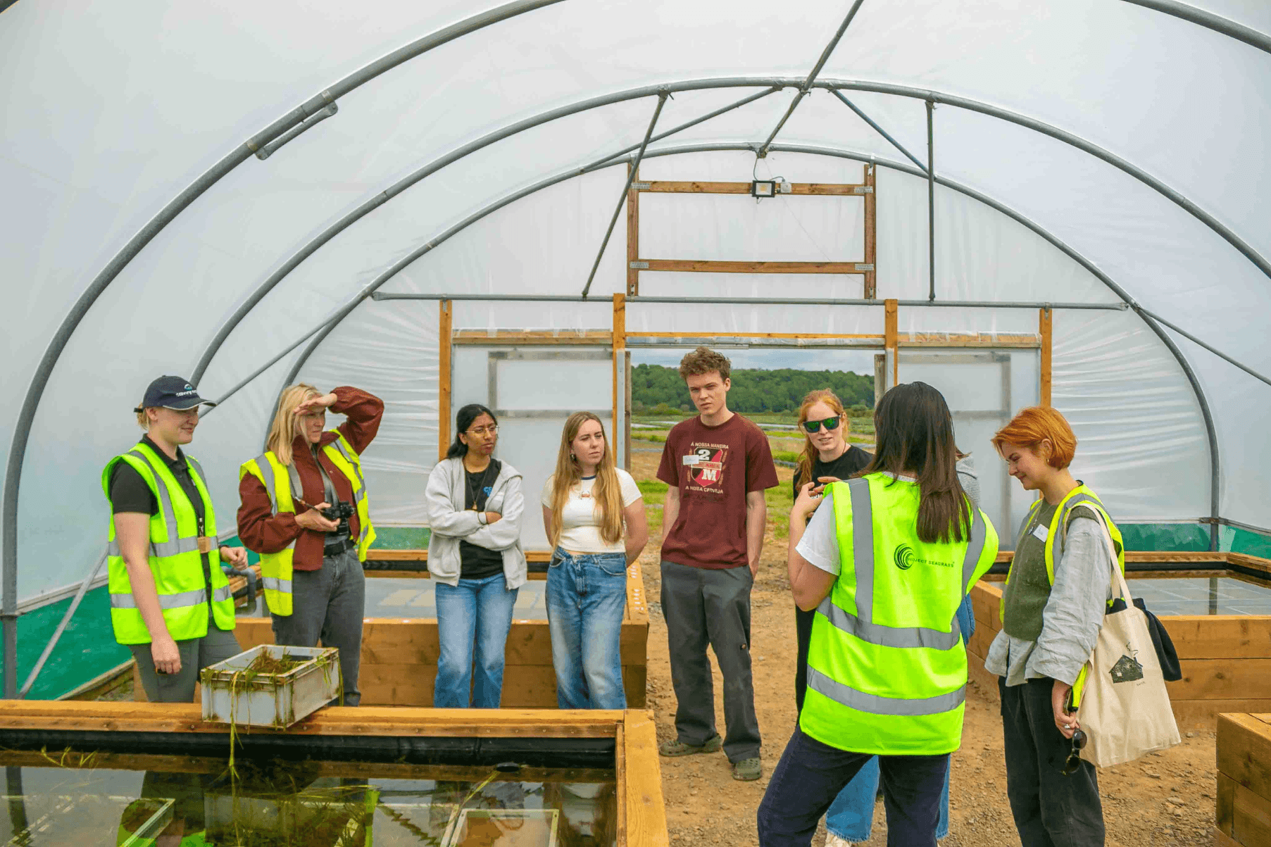 A group of people are gathered around a pond inside one of the Seagrass Nursery polytunnels