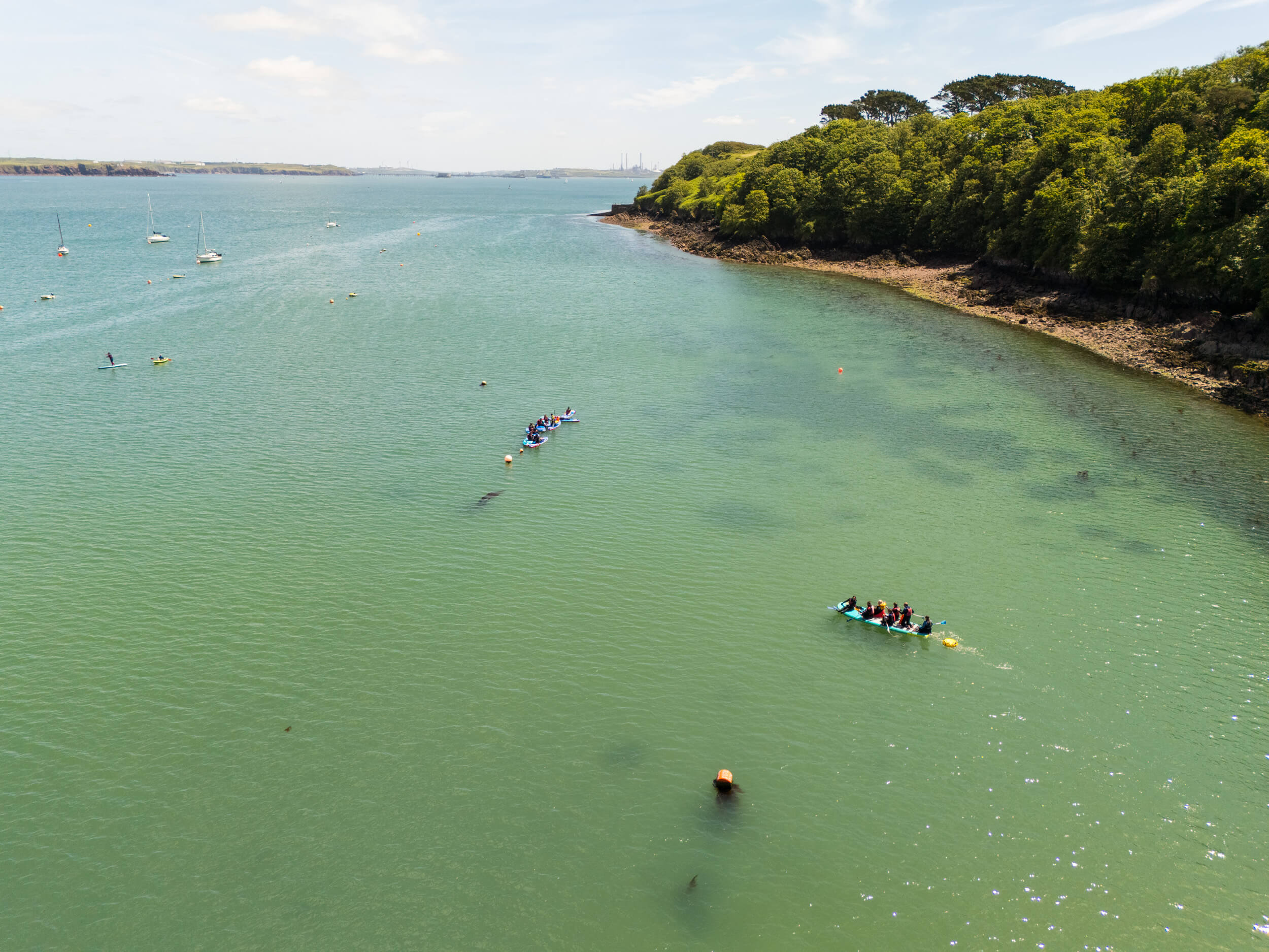 Paddleboarders explore seagrass.